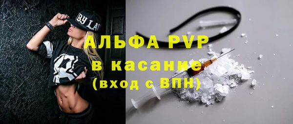 сатива Богданович