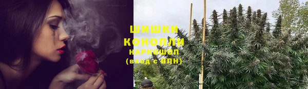 сатива Богданович
