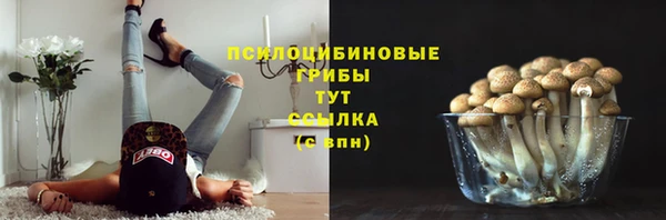 сатива Богданович