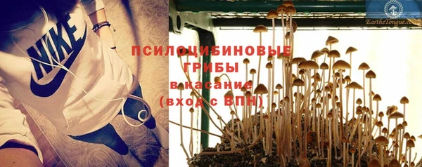 сатива Богданович