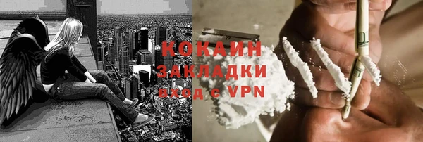 сатива Богданович